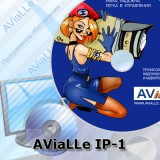 IP система видеонаблюдения и аудиорегистрации AviaLLe